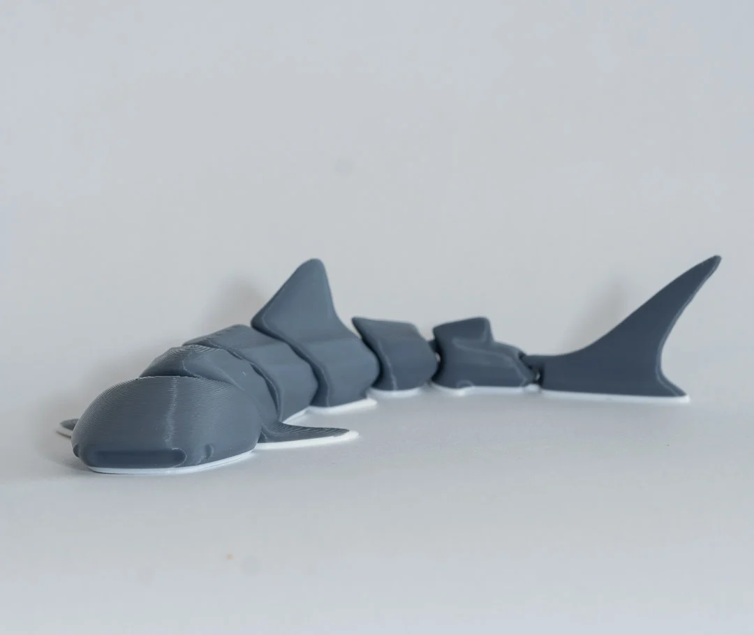 Tiburon Ballena 3D