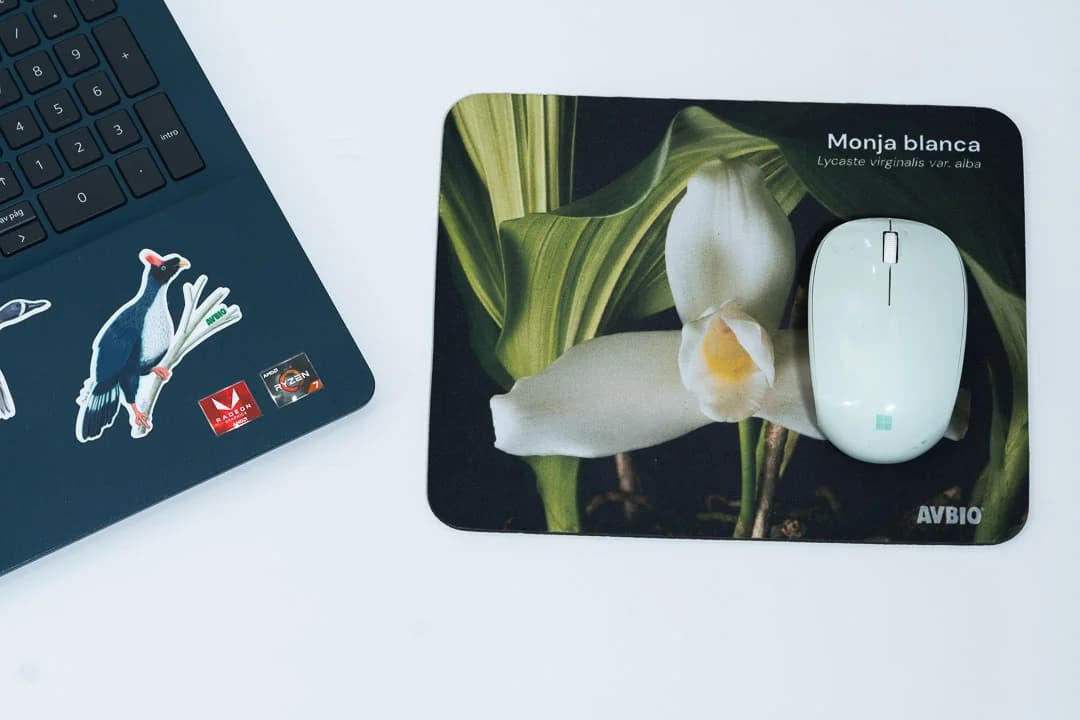 Mousepad Monja Blanca
