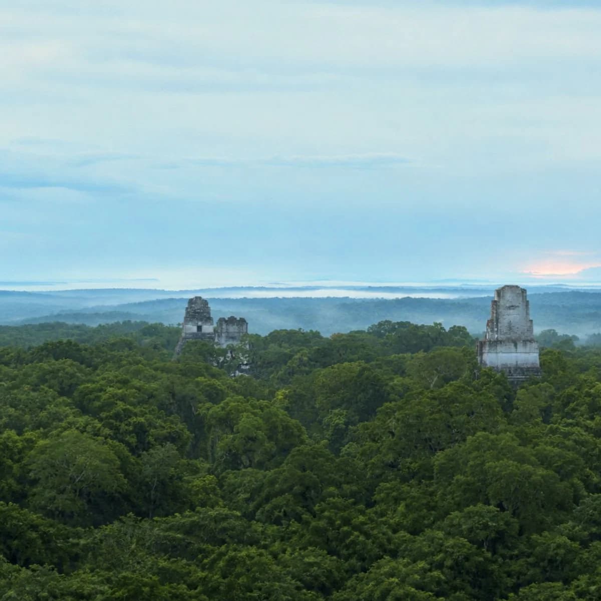 Selva Maya