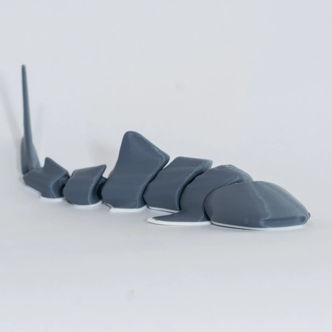 Tiburon Ballena 3D