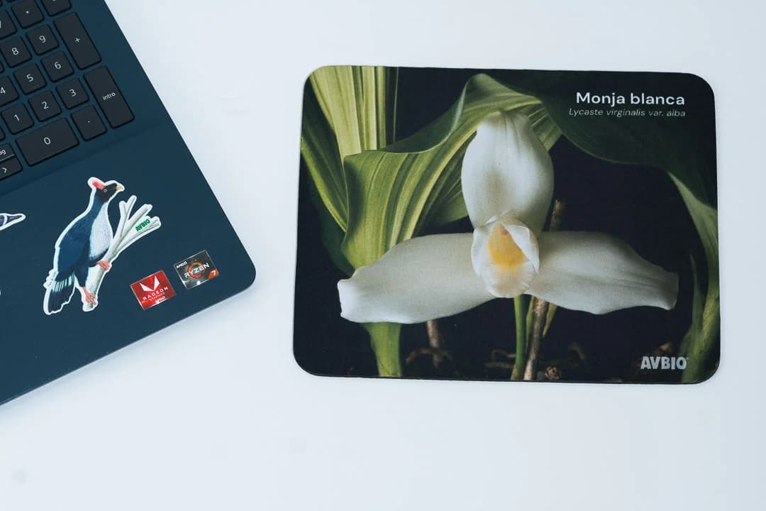 Mousepad Monja Blanca
