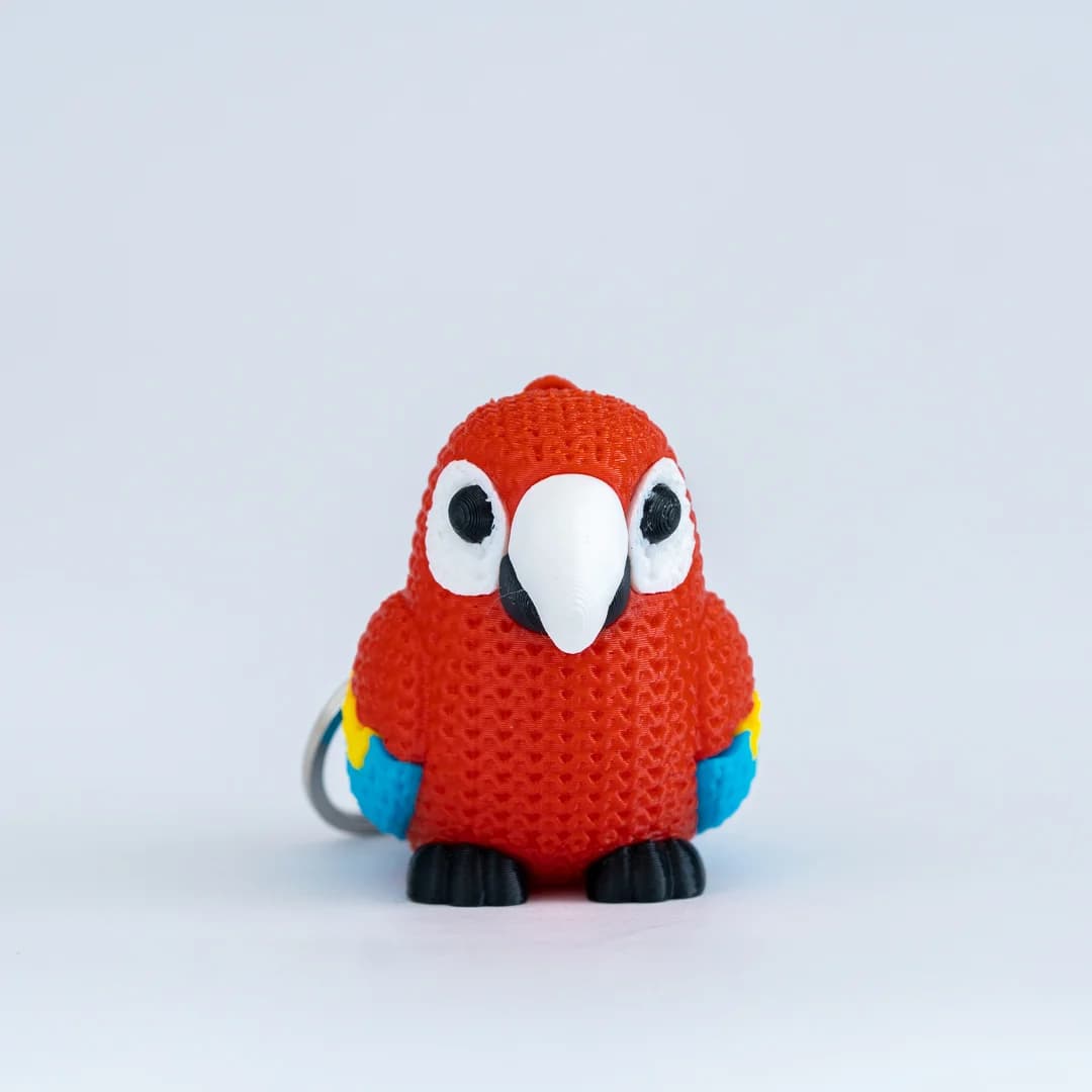 Guacamaya 3D